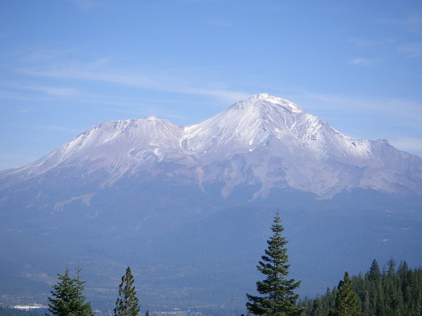 shasta_266.jpg