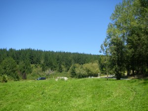 P2150685