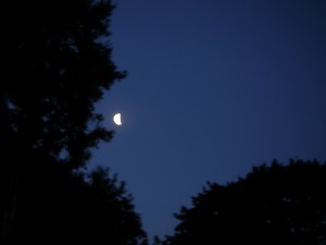 P2150753
