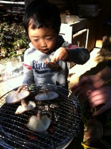 siitake4