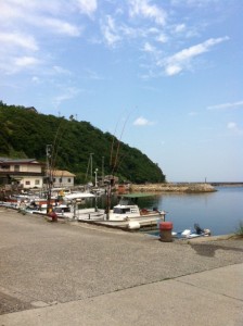 津井港