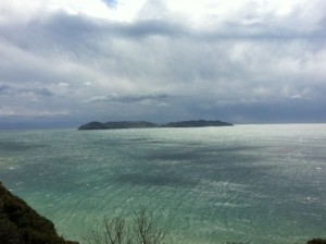 nushima1